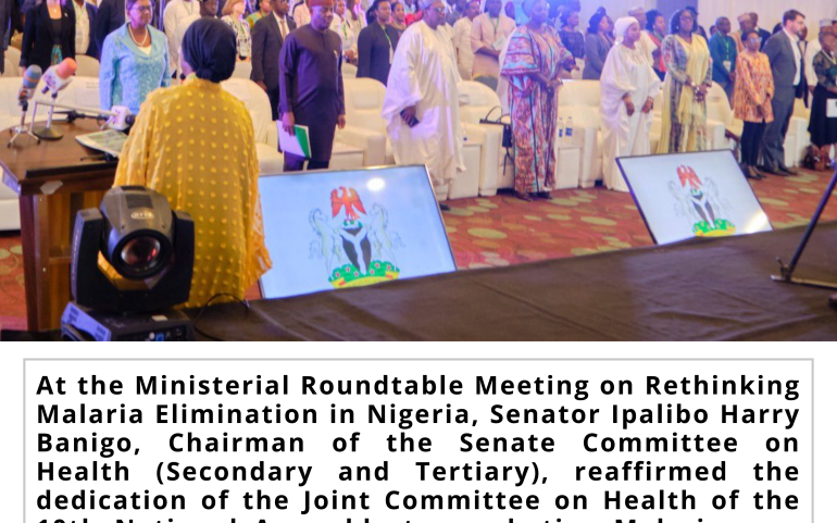 Ministerial Roundtable Meeting: Rethinking Malaria Elimination in Nigeria.