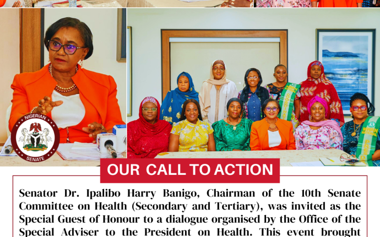 The Responsibility Is in Our Hands: Senator Banigo Challenges Female Health Commissioners in Nigeria.