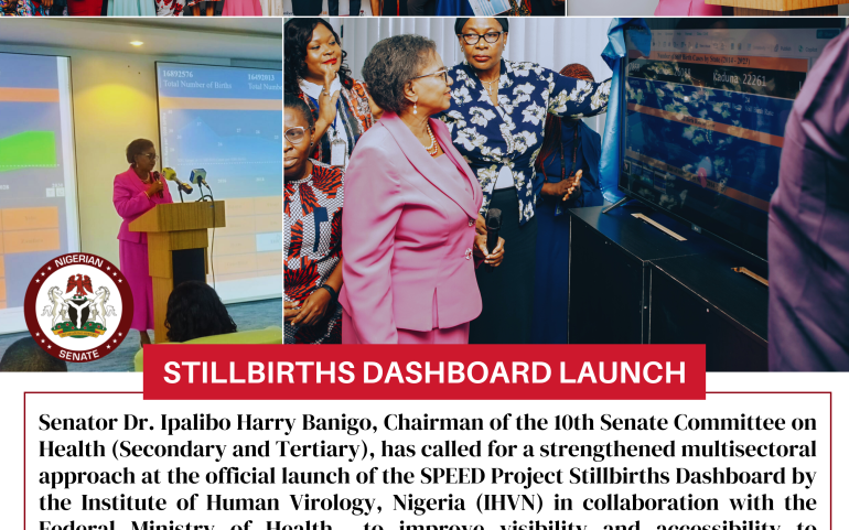 IHVN Stillbirths Dashboard Launch